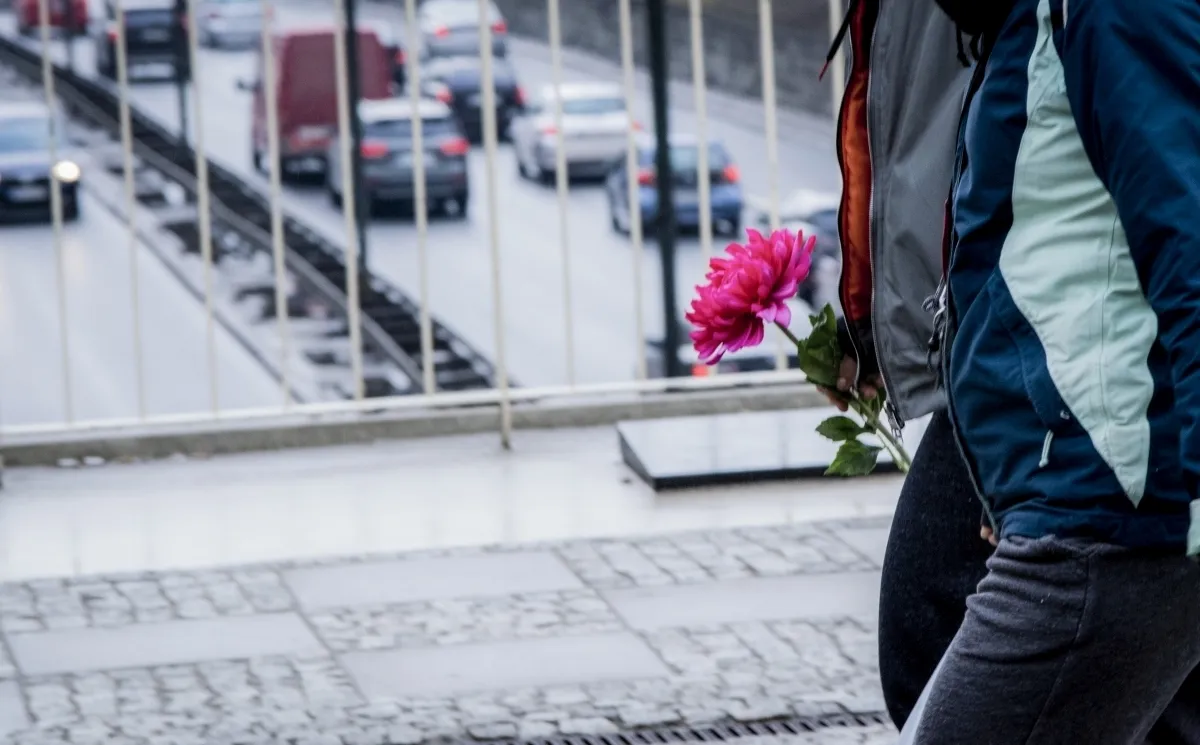 Pedestrian carrying a large pink flower across a bridge above traffic